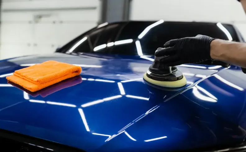 بقع فضلات الطيور والصمغ الشجري: خطر الحموضة