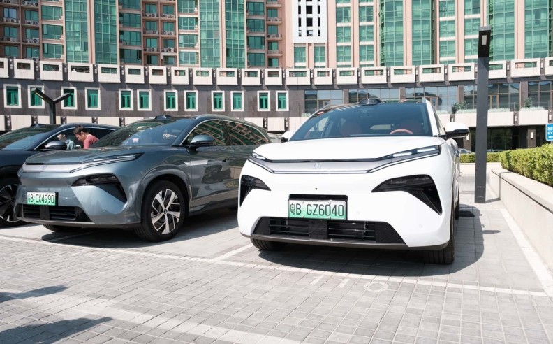 المشهد التنافسي: الفاكهة المحرمة والسباق العالمي