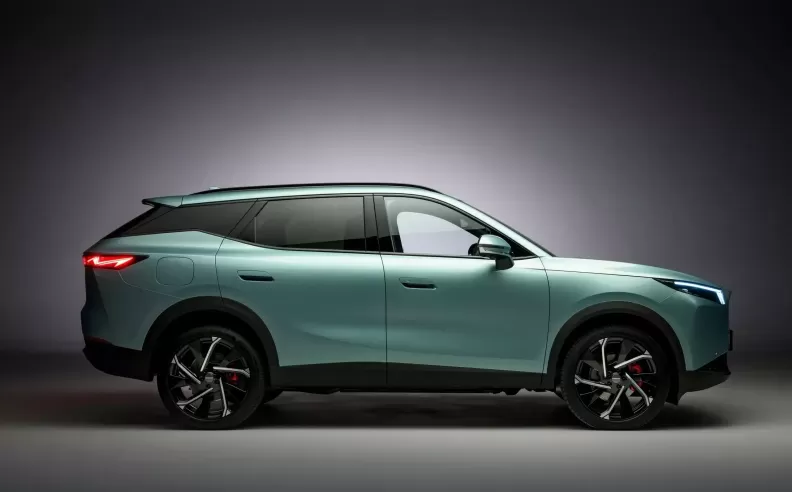 Cats, Flowers, And Hybrid Power