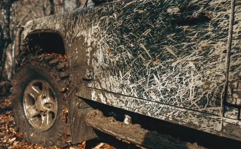  لغة الاهتزازات: الخلل في منظومة الاتزان