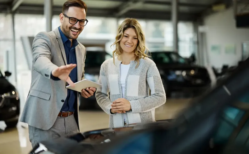 Independent Inspection and Vehicle History