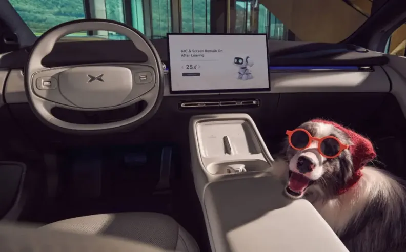 Comfort Focused Interior