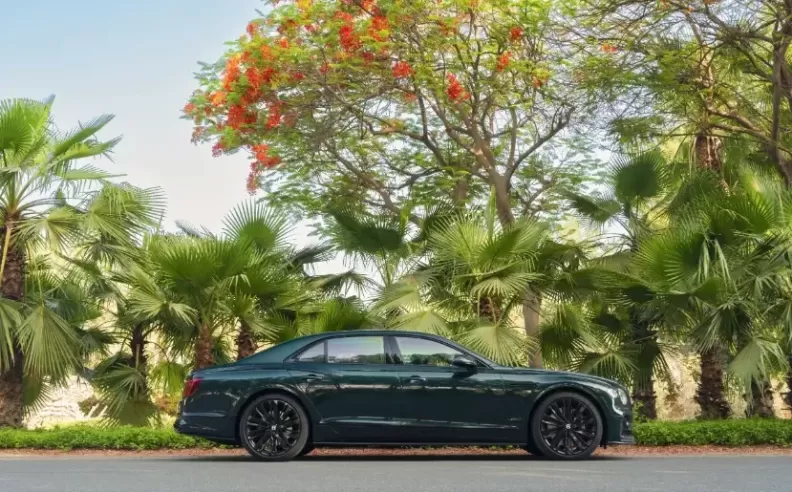 Chassis and Powertrain 