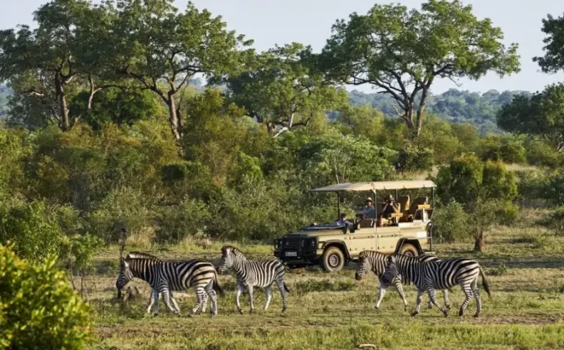 إينيوس كافانجو