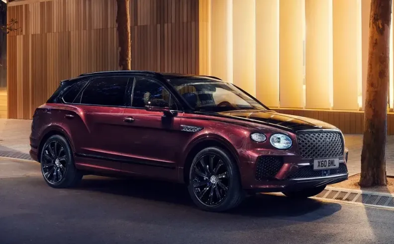 عرض مثير للأناقة والحرفية