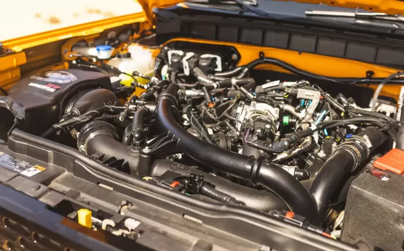 Unleashing the Beast