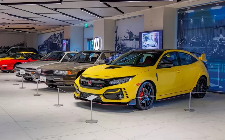 Looking to the Future