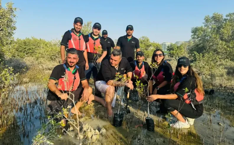 شركة تيرا الصاعدة