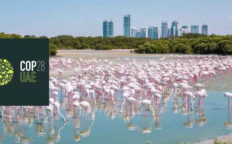 A strong environmental stance to support the shift towards green mobility in the UAE