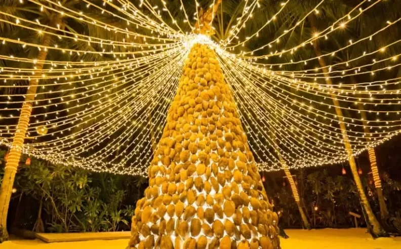 Festive Celebrations