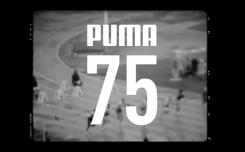 حذاء PEEDCAT PRO أحدث إصدار من بوما لدعم السائقين