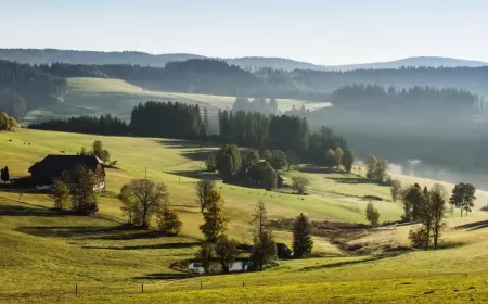 NUMBER OF GULF VISITORS TO GERMANY RECORDED MORE THAN DOUBLE IN 2022, A 243.84 PER CENT INCREASE FROM 2021