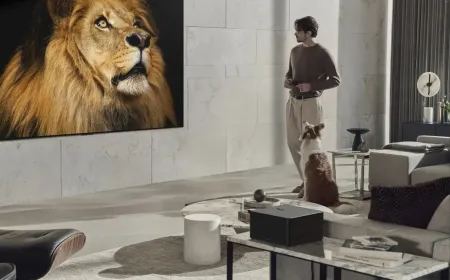 ارتقوا بمساحة غرفة المعيشة خلال موسم العطلات مع تلفزيون LG OLED EVO M3 الذي يأتي بتجربة المشاهدة اللاسلكية الساحرة للمرة الأولى على الإطلاق ومعدّل تحديث يبلغ 120 هرتز