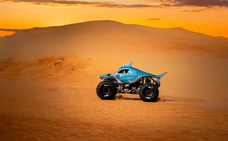 دورة المهرجان الأكبر والأكثر تميزاً 