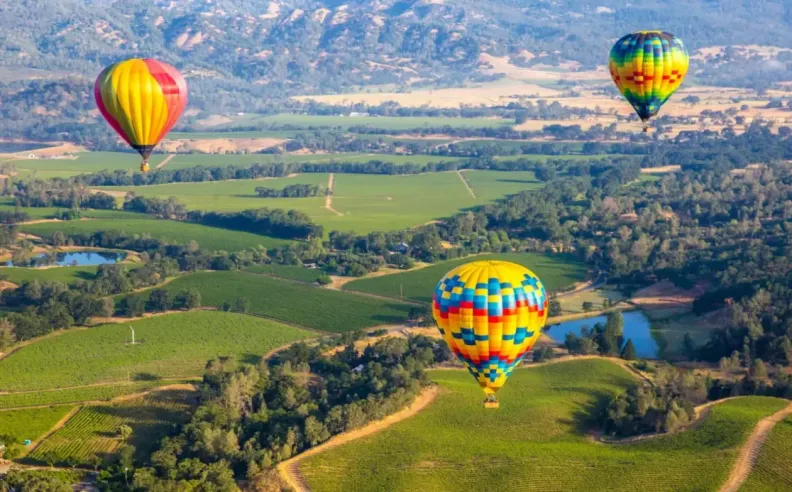 مغامرات لا تنتهي في كاليفورنيا: تجارب تنبض بالحياة واللعب