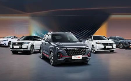 تاريخها يعود لما قبل اختراع أول سيارة وشعارها يعني النصر: إليك ما لا تعرفه عن شانجان