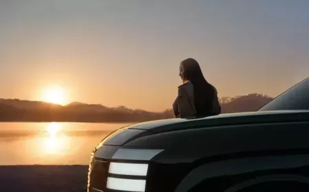 Hyundai Reveals All-New Palisade in New York