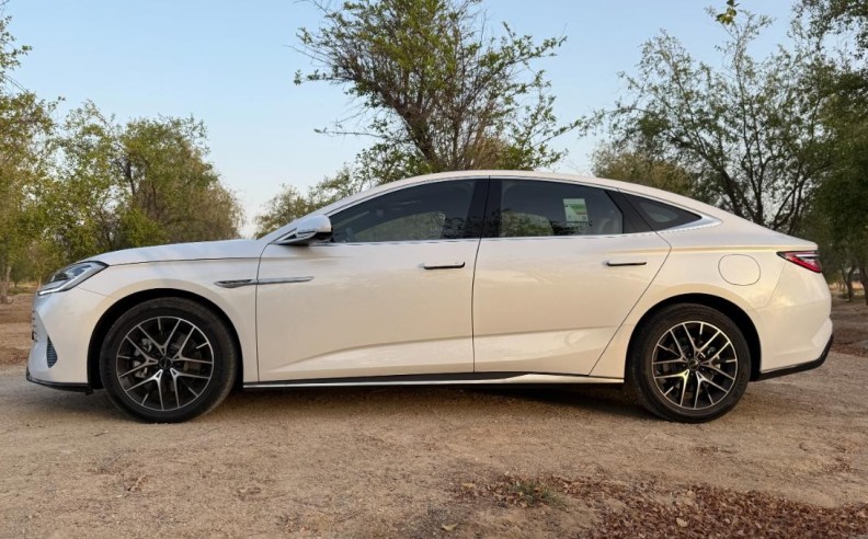 Ocean Style in Motion