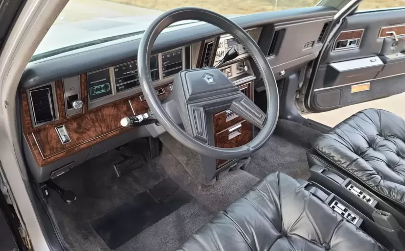 Luxury Looks, Modest Muscle