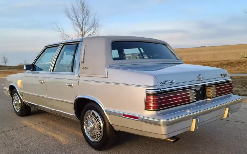 A Collector’s Curiosity