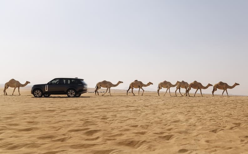 Thermal Management Under Extreme Heat