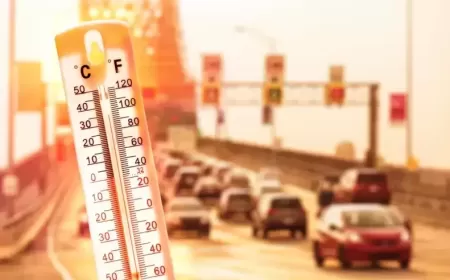 Can EV Batteries Beat the Gulf Heat? Real Test Results in 2025