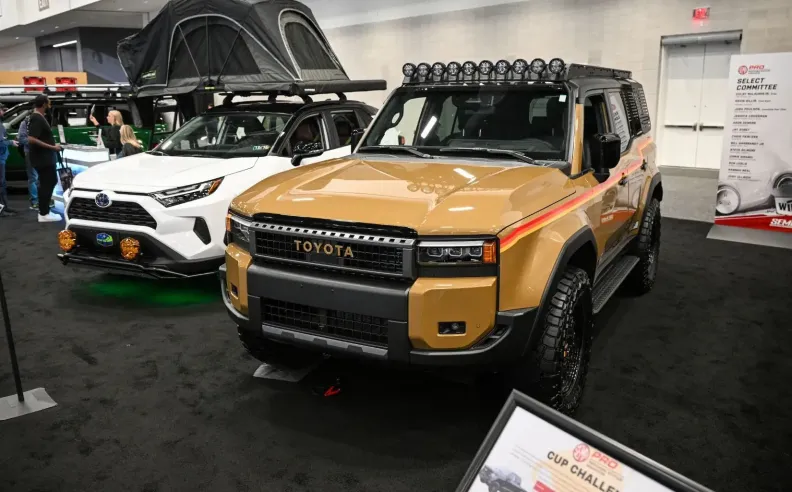 أبطال سابقون يعودون إلى الحلبة