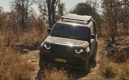 جوائز ديفندر تكشف عن قائمتها القصيرة مشاريع استثنائية لحماية الحياة البرية والغابات