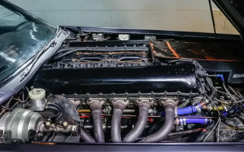 العودة إلى الواجهة عبر المزاد