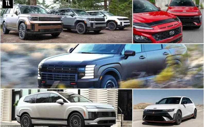 اسماء تعكس تجربة القيادة