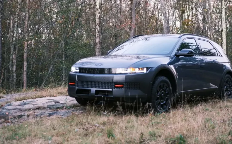 فشل بعض الشركات رغم ضخامة استثماراتها