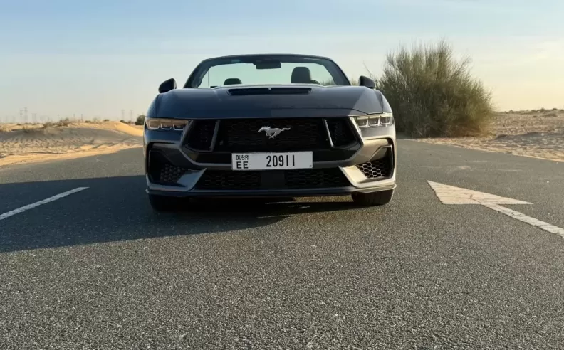 Design and Roof Experience