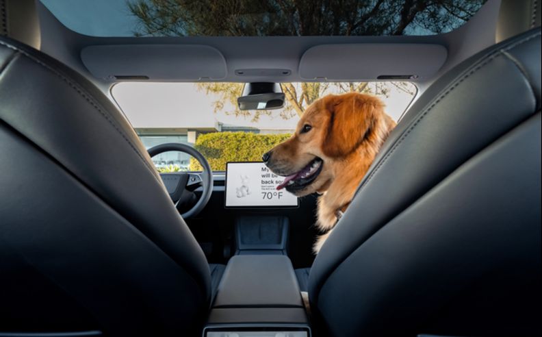 Tesla Earns Multiple Euro NCAP Best in Class Awards