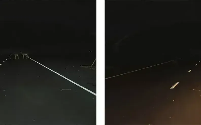 لغز الحوادث غير المرئية وضعف البنية التحتية