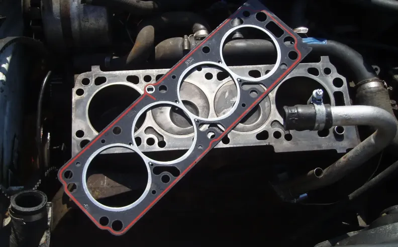 ميكانيكا التلف: ماذا يحدث خلف الكواليس عند الغليان؟