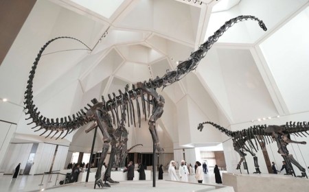 Natural History Museum Abu Dhabi celebrates International Museum Day with Free entry and hands-on experiences for all ages