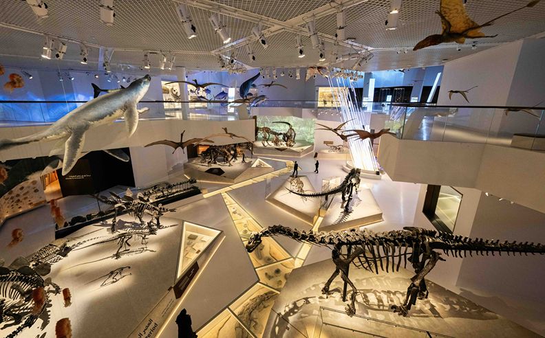 Museum Light & Science Workshops and Talks (16–18 May)