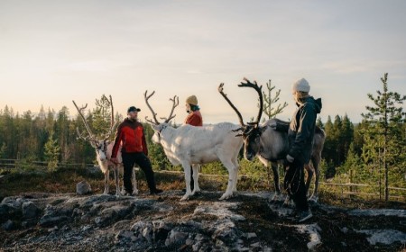 The Happiest Nation Invites the World to Dinner: Finland Launches First-Ever National Tastings