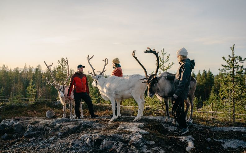The Happiest Nation Invites the World to Dinner: Finland Launches First-Ever National Tastings
