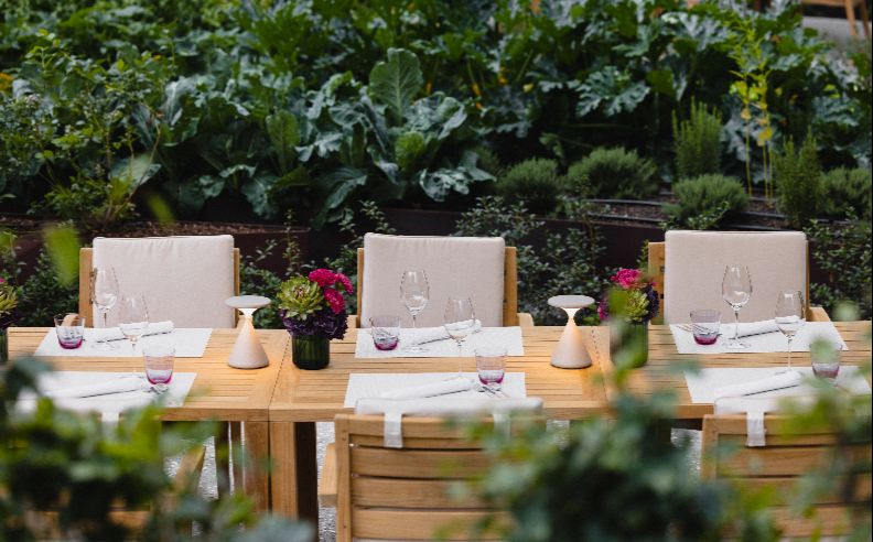 blooms at The Dolder Grand Returns with a Seasonal Plant-Based Fine Dining Experience