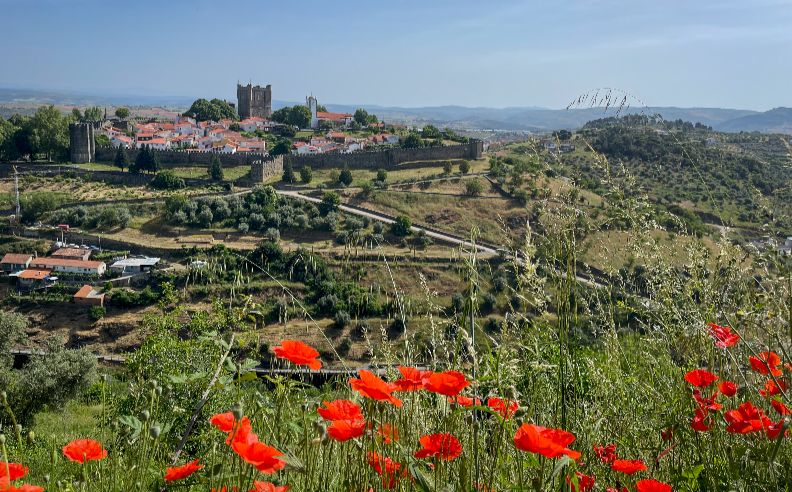 Cycling Tours Across Europe