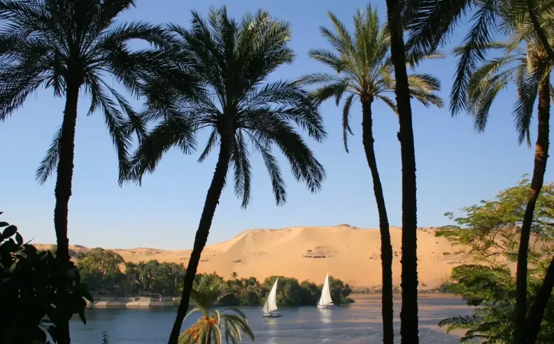 رحلة نهرية في مصر بين التاريخ والطبيعة