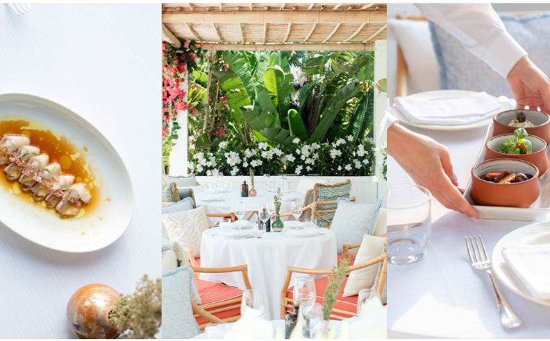 GAIA Arrives at La Tartane Saint-Tropez