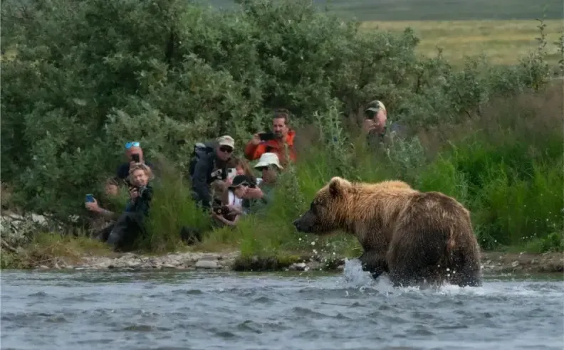 Wildlife and Glacier Experiences