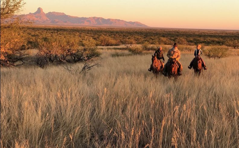 10 Sustainable And Adventure Travel Experiences That Make Planning Easier