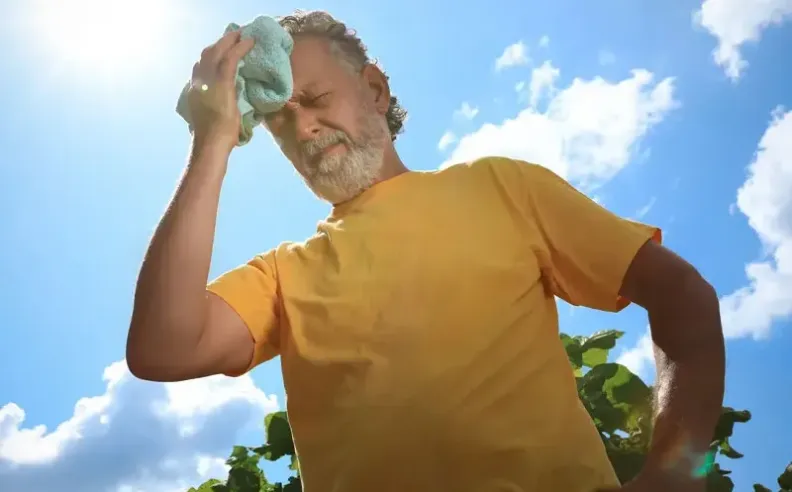 Build Daily Habits for Hot Weather