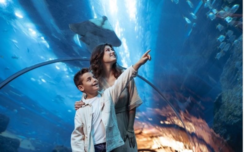 Downtown Dubai Family Escape Offers Unforgettable Experiences
