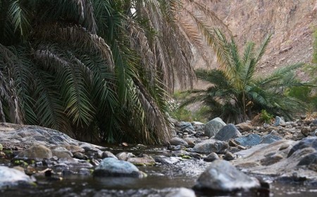 NEW LAUNCH: KHUN Introduces a New Category of Arab Wellbeing