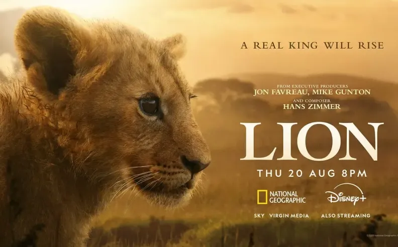 Lion