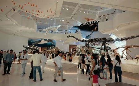 Natural History Museum Abu Dhabi Launches LEGO® SHOWS Natural Brickstory
